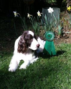 Oz with his rosette